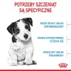 ROYAL CANIN Mini Puppy SHN cibo secco per cani 2 kg