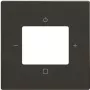 Busch-Jaeger Copertura centrale 8252-81-101 (2CKA008200A0248)