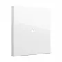 Bilanciere interruttore Gira bilanciere telaio controllo System 55 bianco puro (modello 329003) per telai System 55