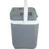 Cool Box Campingaz Powerbox Plus 28 L Electric grigio