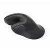 Gembird MUSW-ERGO-03 Mouse per uso domestico per destrorsi RF Wireless Ottico 1600 DPI