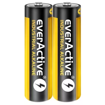 Batteria alcalina monouso everActive EVLR6S2IK AA 1,5 V — confezione da 40