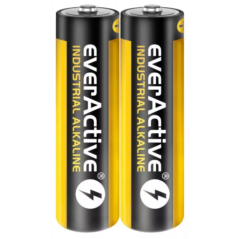 Batteria alcalina monouso everActive EVLR6S2IK AA 1,5 V — confezione da 40