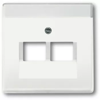 Placca a parete / copriinterruttore Busch-Jaeger 1710-0-3888, bianco, 63×63 mm, design convenzionale