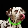 Collare LED Anicoll verde per cani e gatti modello illuminazione ricaricabile