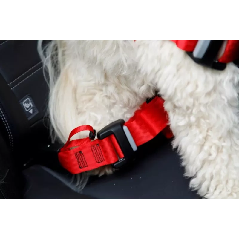 Pettorina per cani ZOLUX TRAVEL SAFE S, taglia S, rosso