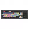 Logickeyboard LKB-PPROCC-A2M-UK tastiera USB QWERTY inglese nero (LKB-PPROCC-A2M-UK)