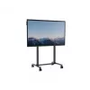 Supporto touchscreen elettrico AVTEK 1MV137 supporto mobile regolabile in altezza per display interattivi