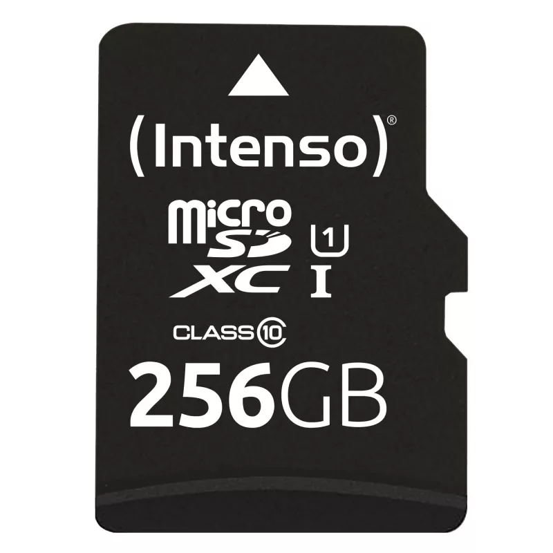 Memoria flash Intenso 256GB UHS-I Scheda MicroSD