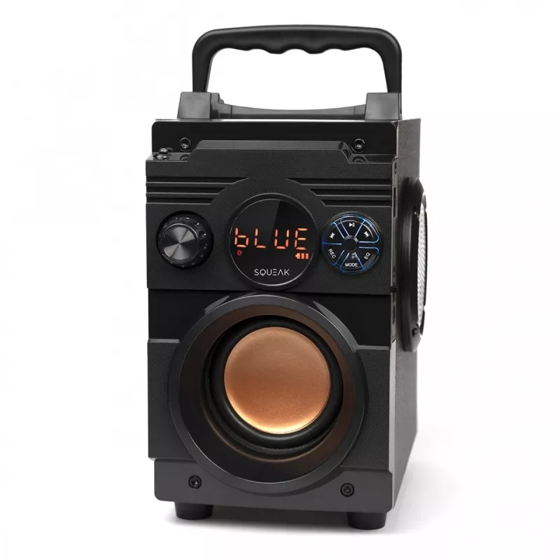 Squeak Bassblaster altoparlante Bluetooth 5.1, radio FM, lettore MP3 SQ1001