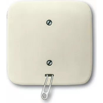 Busch Jaeger 2CKA001315A0191 interruttore elettrico a tirante bianco (2CKA001315A0191)