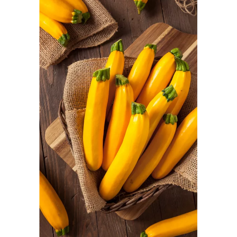 Semi di ortaggi zucchino dorato Toraf, confezione da 5g