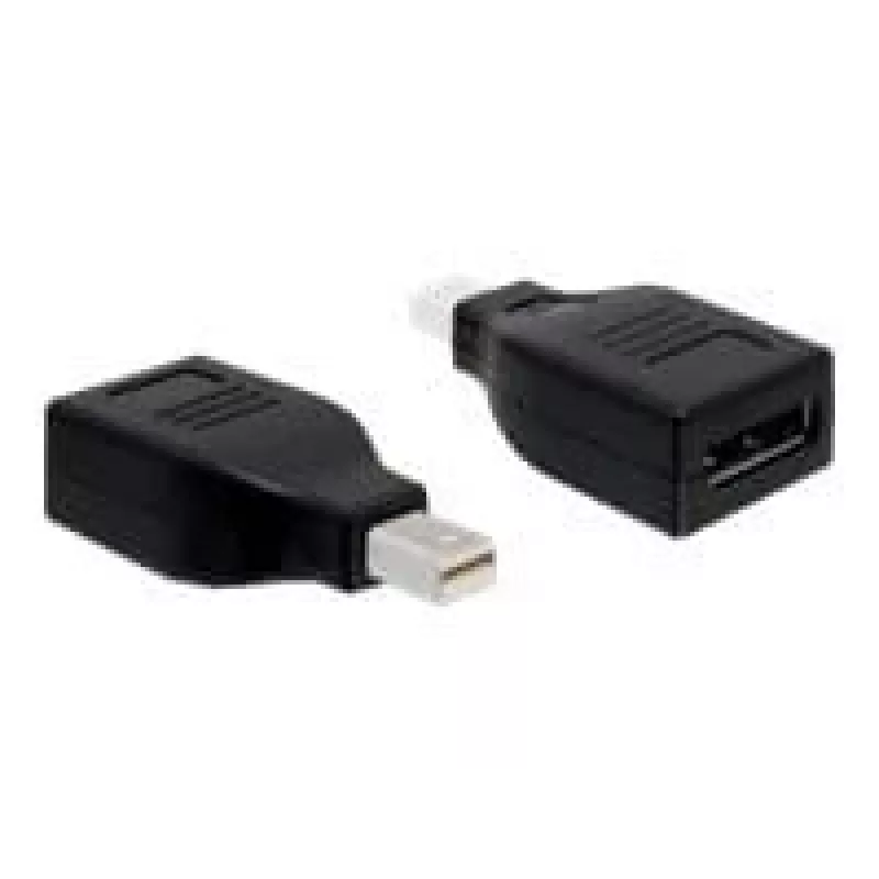 Adattatore DisplayPort DeLOCK 65238