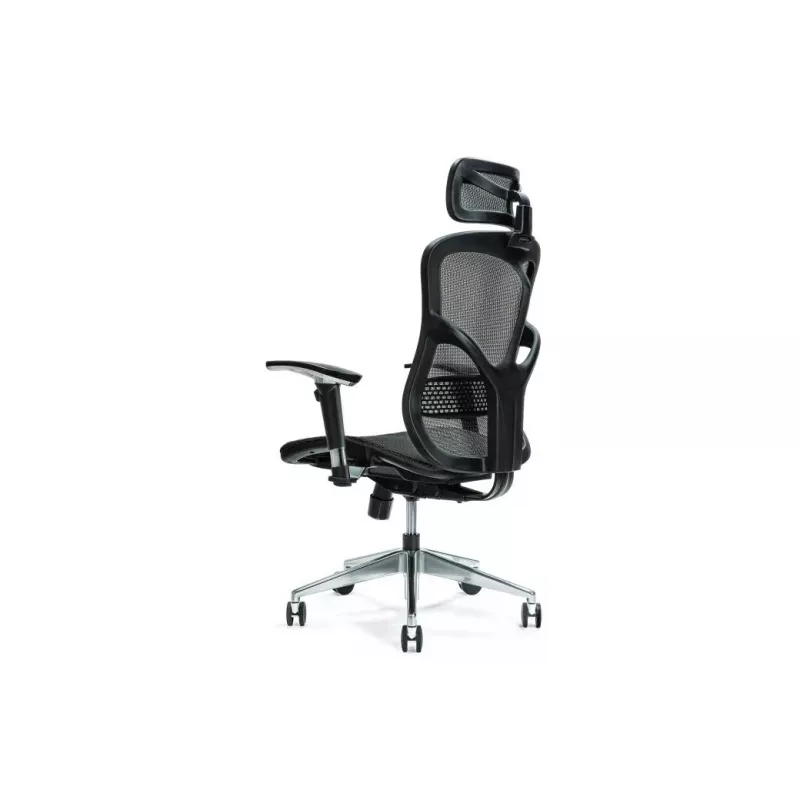 Sedia da ufficio ergonomica ERGO 500 nero