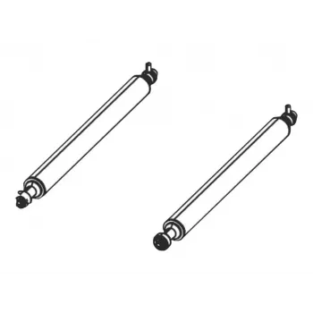 Kit per stampante Zebra P1046696-060