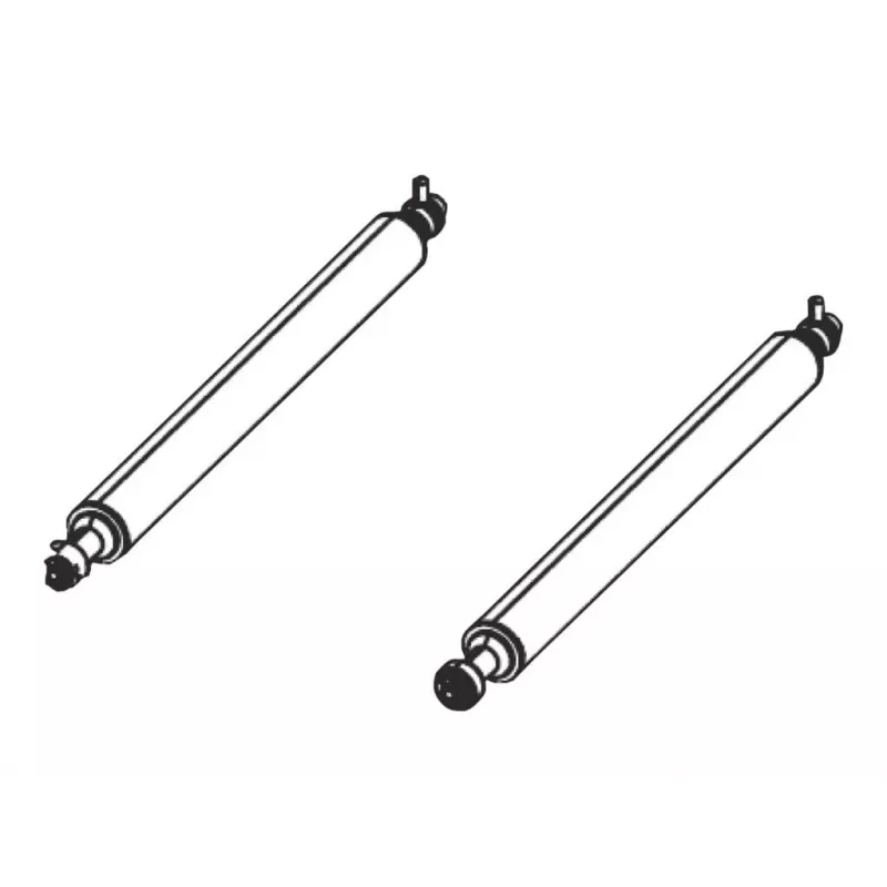 Kit per stampante Zebra P1046696-060