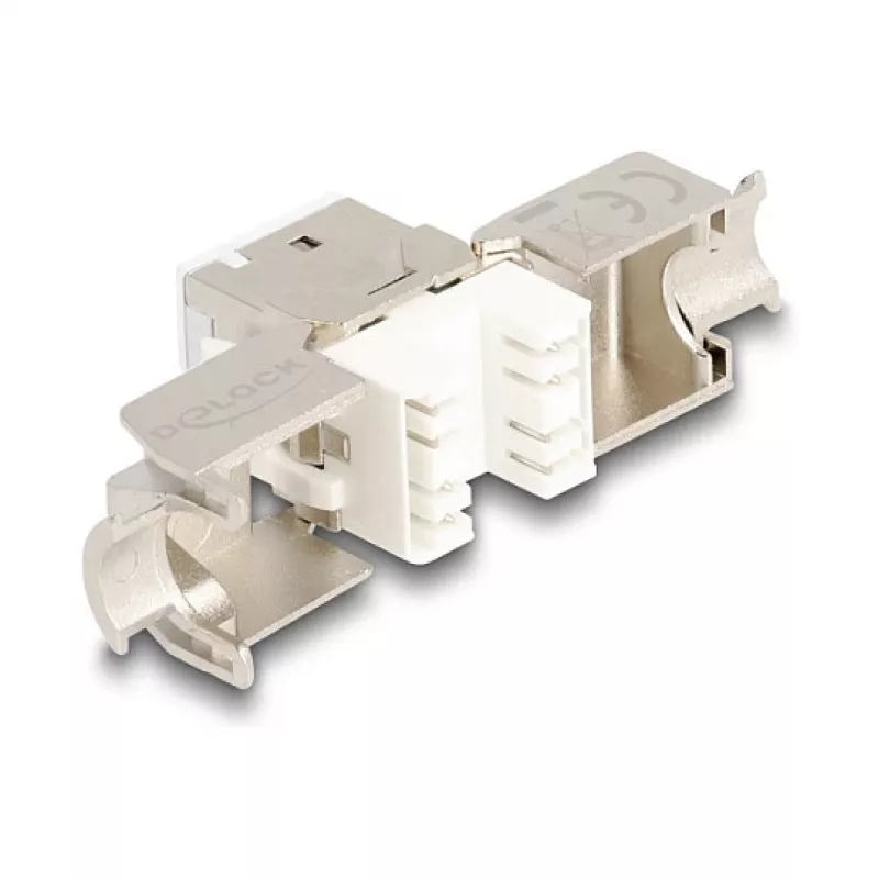 Modulo Keystone DeLOCK 88119 piatto bianco RJ-45 10 pz