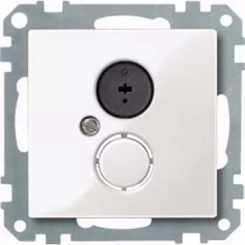 Merten 296919 placca a parete/placca interruttore bianco (296919)