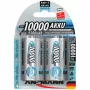 Batteria D Ansmann 10000 mAh Mono HR20 NiMH