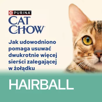 CAT CHOW Hairball Control pollo fagiolini in salsa 85 g