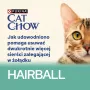 CAT CHOW Hairball Control pollo fagiolini in salsa 85 g