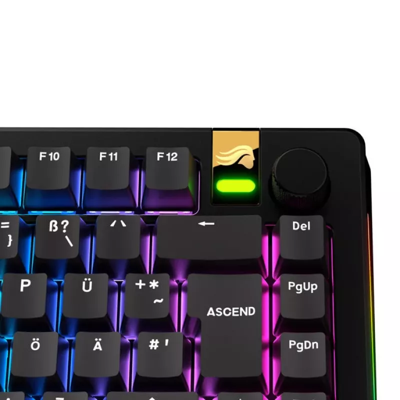 Keycaps GLORIOUS GPBT Basics — set di tasti PBT, layout DE-ISO, nero