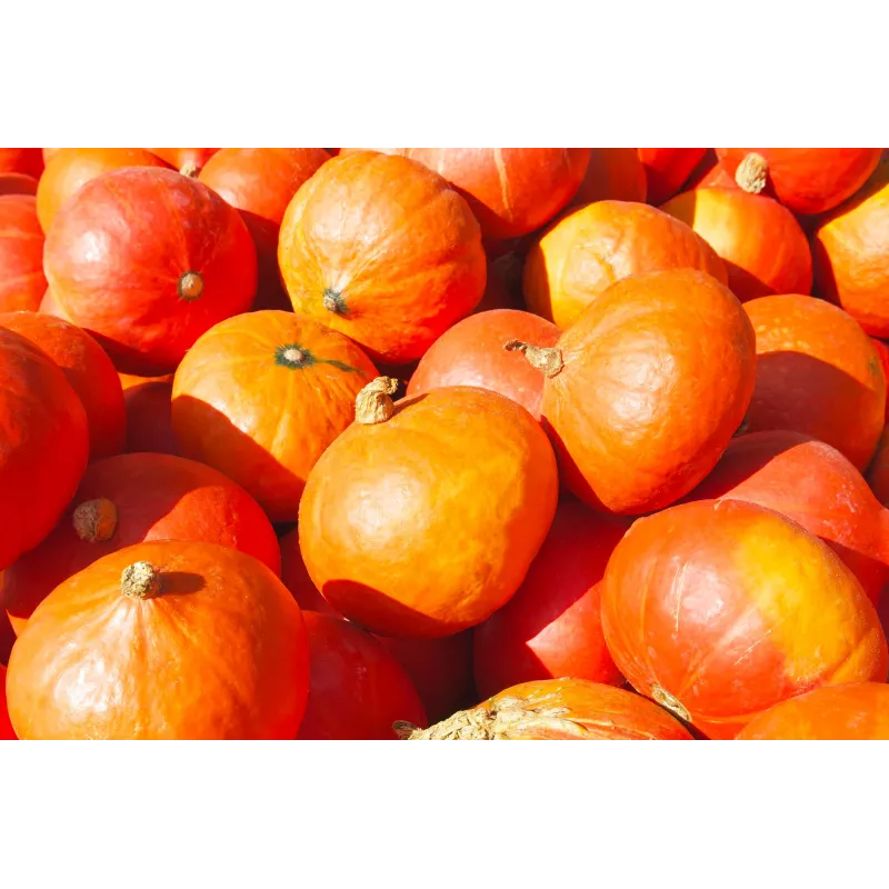 Semi di ortaggi zucca Uchiki Kuri Toraf, confezione da 5g