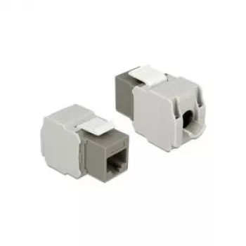 Modulo keystone DeLOCK 86342