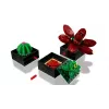 Lego Icons 10309 Piante grasse
