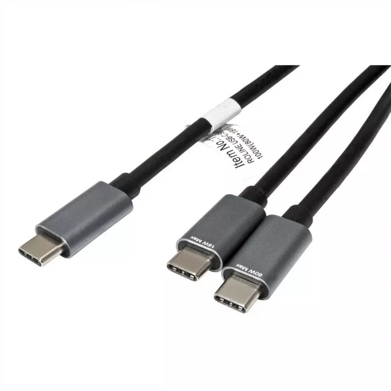 ROLINE - Cavo USB - USB-C 24 pin (M) a USB-C 24 pin (M) - USB 2.0 - 1,85 m - alimentazione USB (100 W) - nero (11.02.8308)