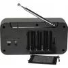 Inter Sales DENVER DAB-42 - radio DAB portatile - 1 Watt