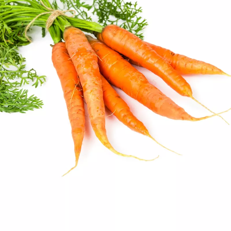 PNOS carota commestibile Lenka semi su nastro, 6 m
