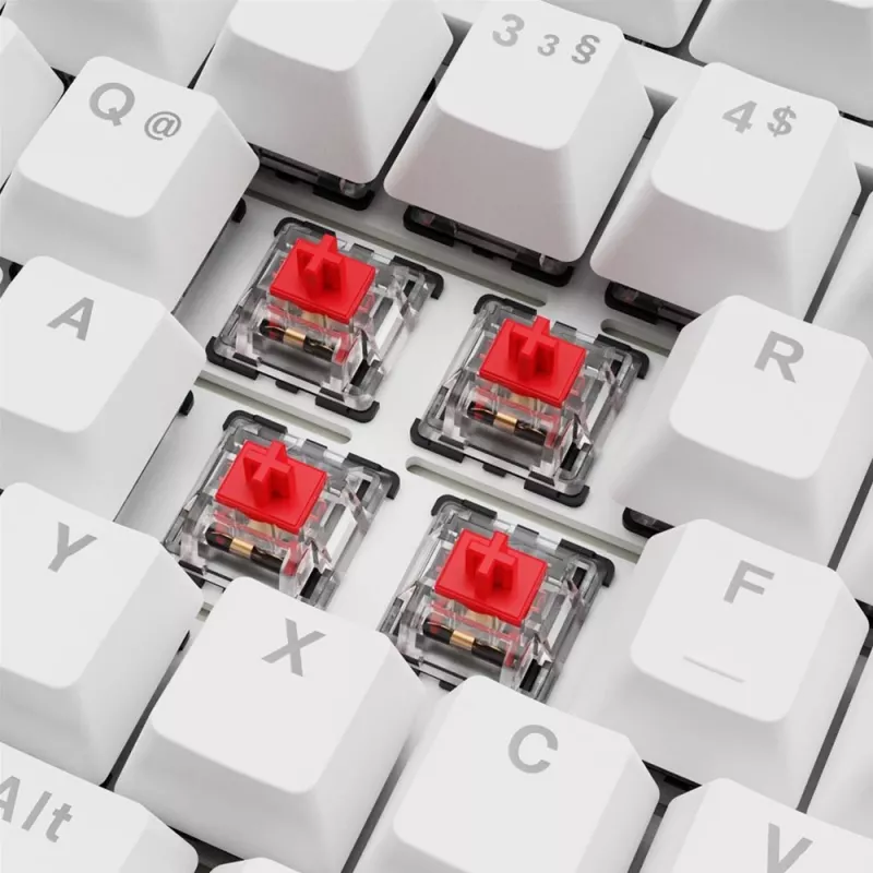 Sharkoon SGK25 75% QWERTZ USB Tastiera cablata RGB LED bianco
