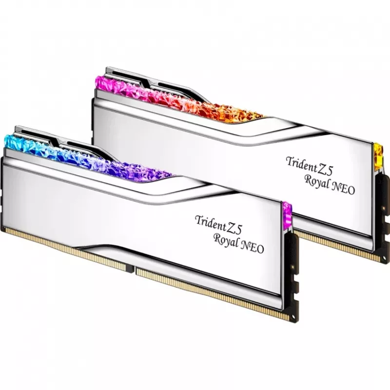 G.skill F5-8000J4048G24GX2-TR5NS modulo di memoria