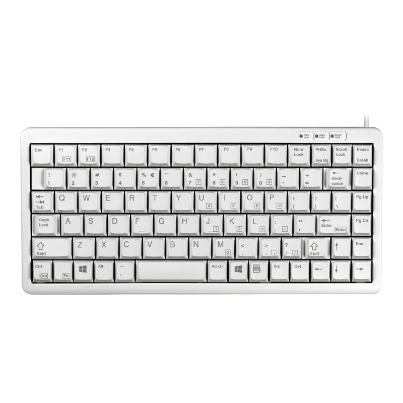 CHERRY G84-4100 tastiera universale USB QWERTY US-inglese grigio