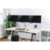 LogiLink BP0052 supporto / piedistallo per monitor 81,3 cm (32) da scrivania metallizzato