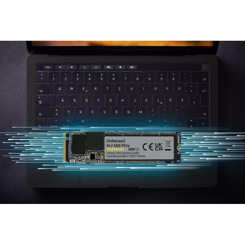 Unità SSD Intenso 2 TB M.2 PCI Express 3.0 NVMe 3D NAND modello 3835470