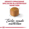 ROYAL CANIN Maine Coon Kitten - Crocchette per gatti - 4 kg