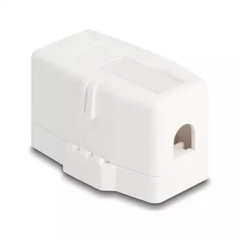 Delock 85841 Custodia Keystone vuota, 1 porta, base magnetica, bianco