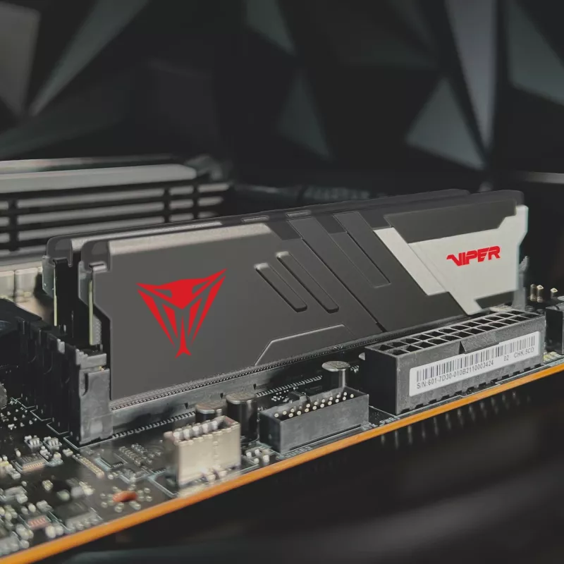 DIMM 32 GB DDR5-6000 (2x 16 GB) kit dual, memoria PVV532G600C36K, Viper Venom, INTEL XMP