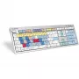 Tastiera Logickeyboard ALBA universale USB AZERTY francese argento