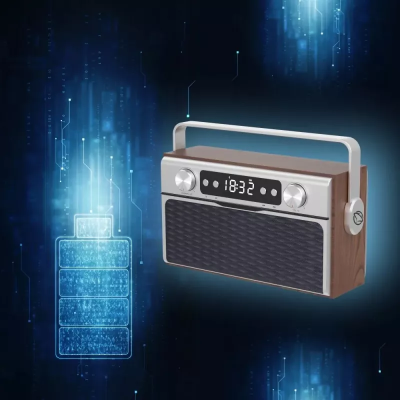 Radio portatile MANTA RDI917PRO con Bluetooth e riproduzione USB