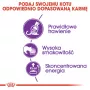 Royal Canin Sensible 33 crocchette per gatti, 2 kg
