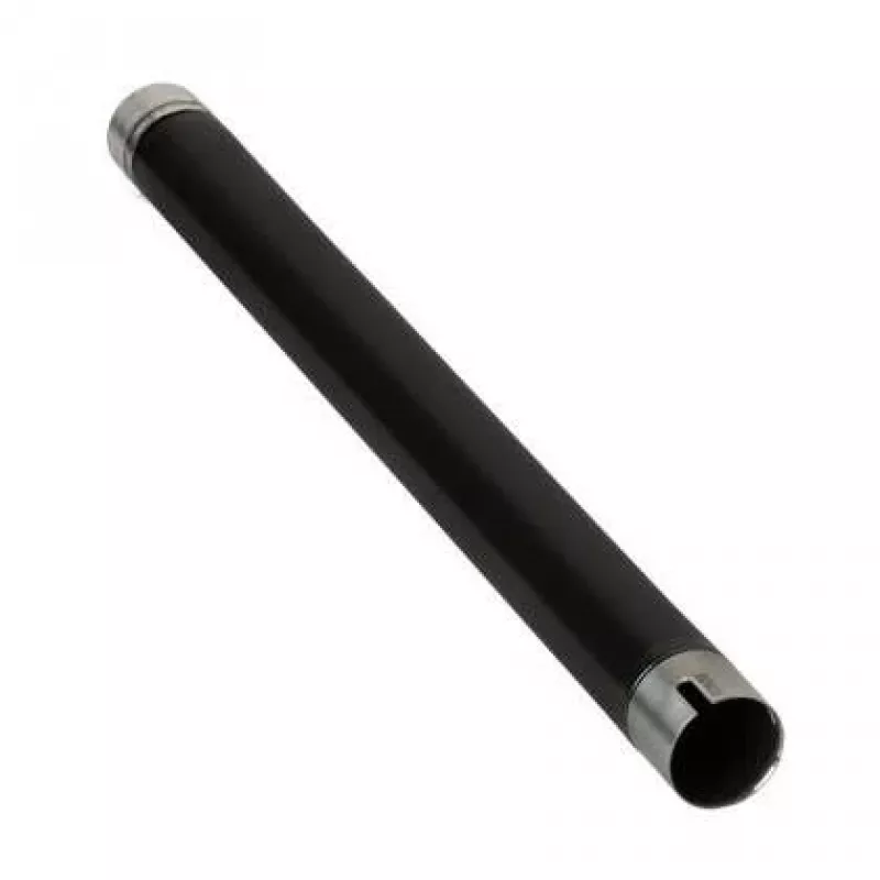 Ricoh AE011113 rullo ricambio/accessorio per stampante/scanner