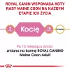 ROYAL CANIN Maine Coon Kitten - Crocchette per gatti - 4 kg