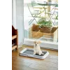 Toilette per cani/gatti ZOLUX Toilette per gatti aperta nera, grigia
