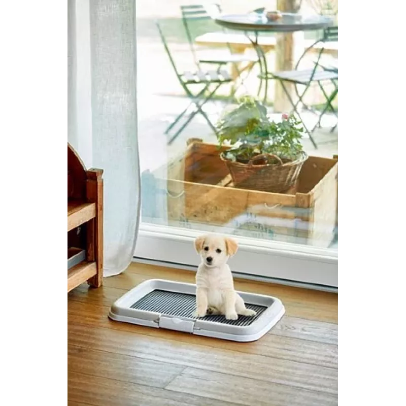 Toilette per cani/gatti ZOLUX Toilette per gatti aperta nera, grigia