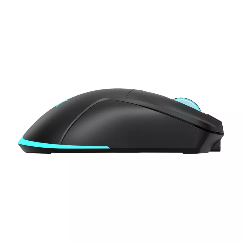 Mouse Baracuda BGM-121 Turtle nero USB