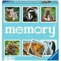 memory cuccioli di animali, gioco memory