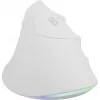 NATEC Crake 2 Pro mouse universale destrimani USB Type-A ottico 12800 DPI